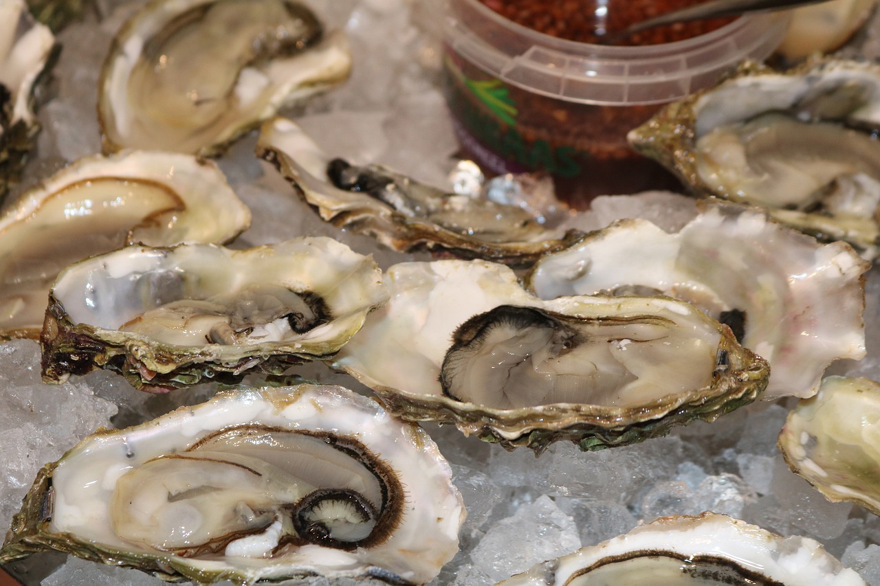 The Ultimate Guide to Freezing Oysters