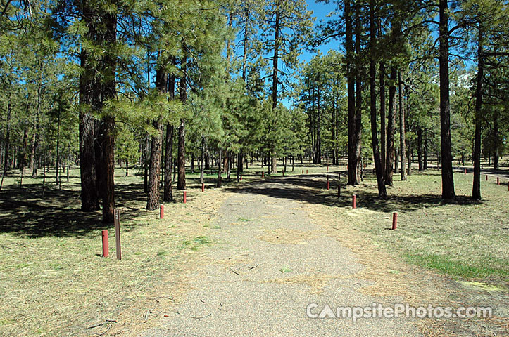 Canyon Point: AZ's Premier Campground Reservations