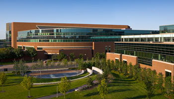 Unlock Your Management Potential with Carlson