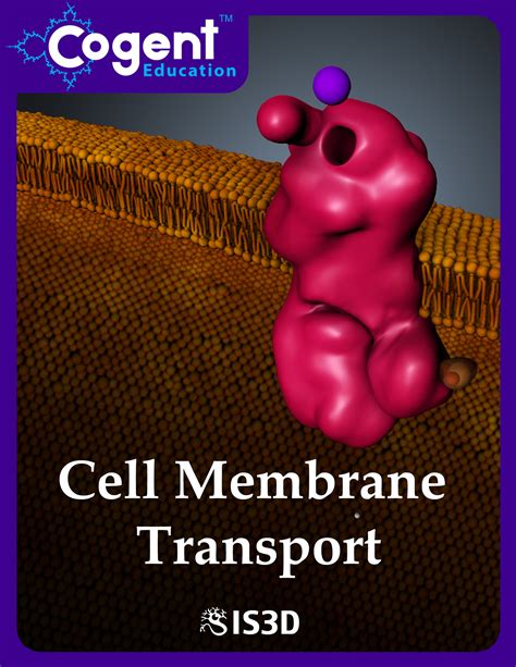 Unraveling the Secrets of Cell Biology