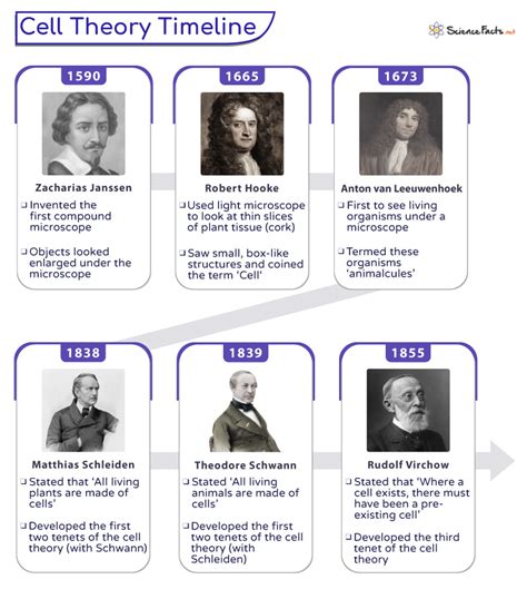 Cell Theory History And Contribution Of Cell Theory Parts Of Cell Cell Theory History And Contribution Of Cell Theory Parts Of Cell