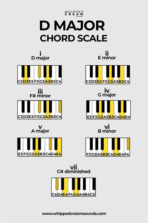 A Beginner's Guide to D Chords