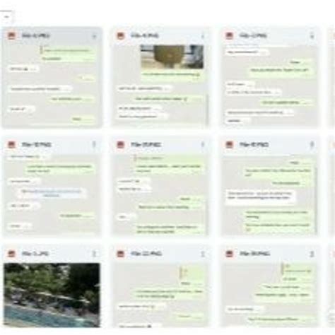Christian Horner Leaked Messages Christian Horner Leaked Messages