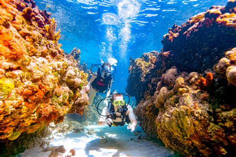 Coastal Secrets A Deep Dive