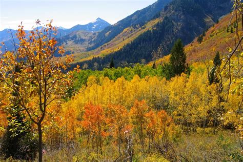 5 Epic Fall Foliage Drives in Colorado