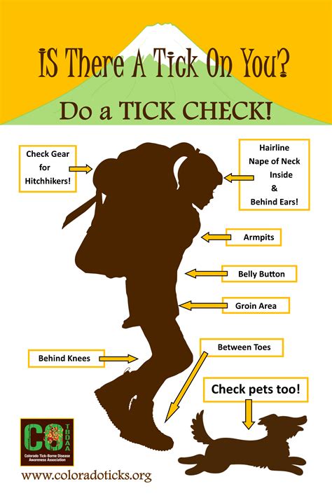 Colorado Tick Borne Disease Awareness Association Cotbdaa Education Colorado Tick Borne Disease Awareness Association Cotbdaa Education