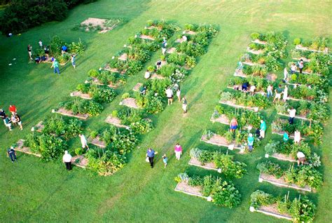 Community Garden Gems: Local Options Revealed