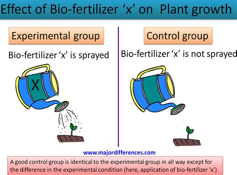 3 Key Differences in Control vs Experimental Groups 3 Key Differences in Control vs Experimental Groups