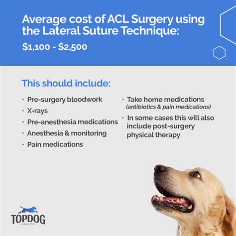 ACL Surgery Costs: 5 Key Factors
