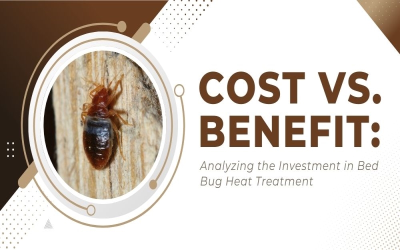 Cost Vs Benefit Analyzing The Investment In Bed Bug Heat Treatment Cost Vs Benefit Analyzing The Investment In Bed Bug Heat Treatment