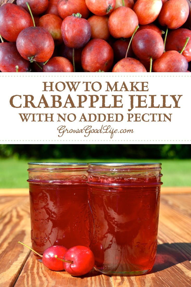 Crabapple Jelly Recipe With Pectin Crabapple Jelly Recipe With Pectin