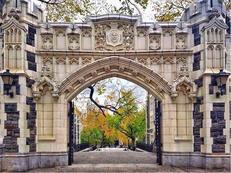 Unleash Your Academic Potential: 5 Tips