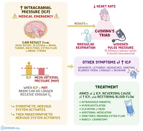 Cushing S Triad What Is It Causes Diagnosis Treatment And More Cushing S Triad What Is It Causes Diagnosis Treatment And More