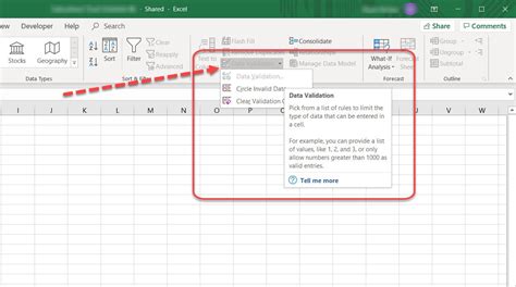 Why is Data Validation Greyed Out?