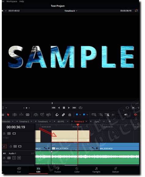 The Ultimate Guide to DaVinci Resolve Text Files