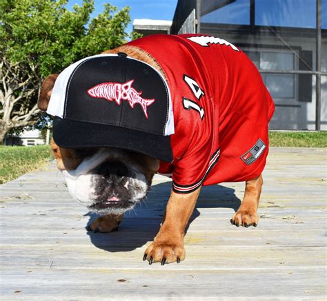 Dawgs Gs Hat Hats Georgia Bulldogs Fishing Outfits Dawgs Gs Hat Hats Georgia Bulldogs Fishing Outfits