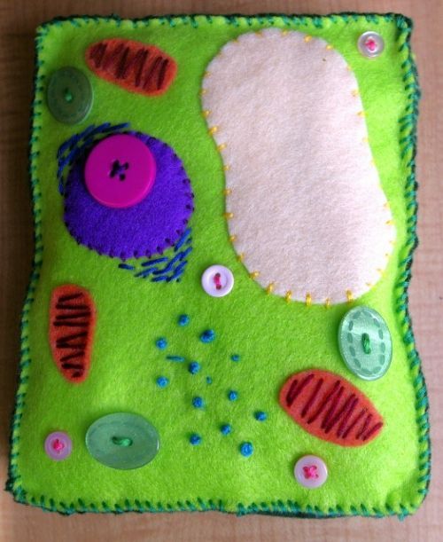 Day Fifteen 30 Days Of Creativity Stitched Plant Cell Plant Cell Day Fifteen 30 Days Of Creativity Stitched Plant Cell Plant Cell