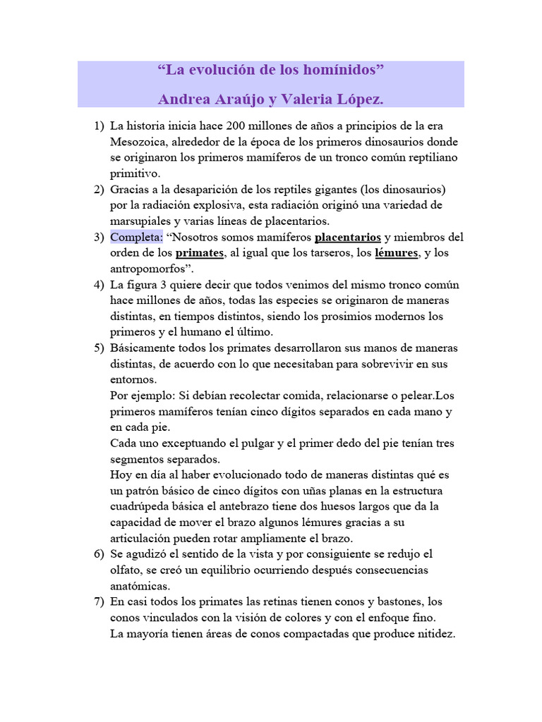 Descubre El Fascinante Origen Y Evoluci N De Los Objetos Cotidianos Ahora Descubre El Fascinante Origen Y Evoluci N De Los Objetos Cotidianos Ahora