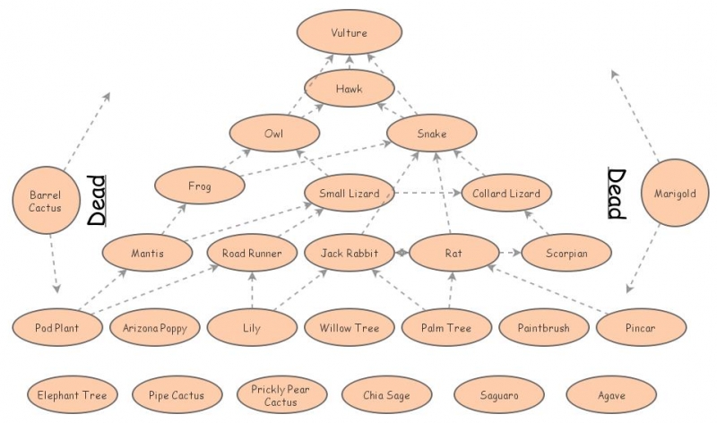 Exploring the Desert Food Web Exploring the Desert Food Web