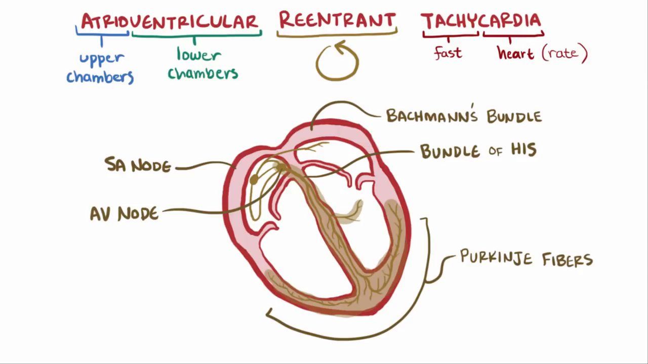 Tachycardia: The Complete Guide to Diagnosis Codes