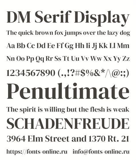 Dm Serif Display In Use Fonts In Use