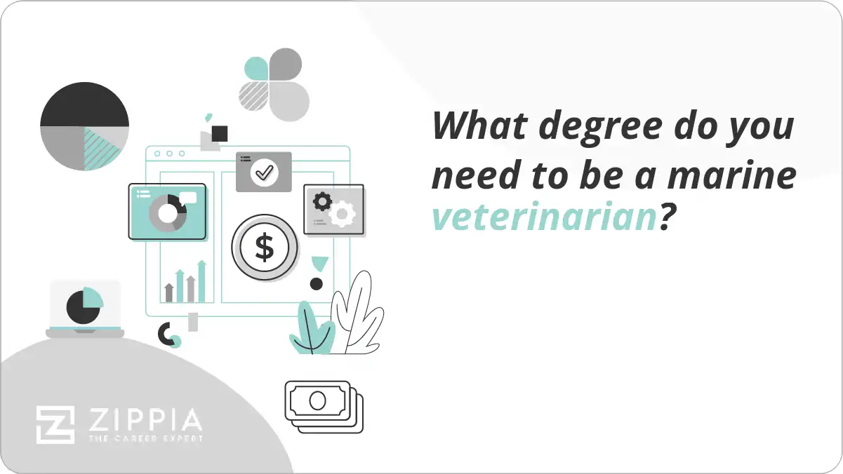 Bachelor Degree: 5 Tips to Become a Vet