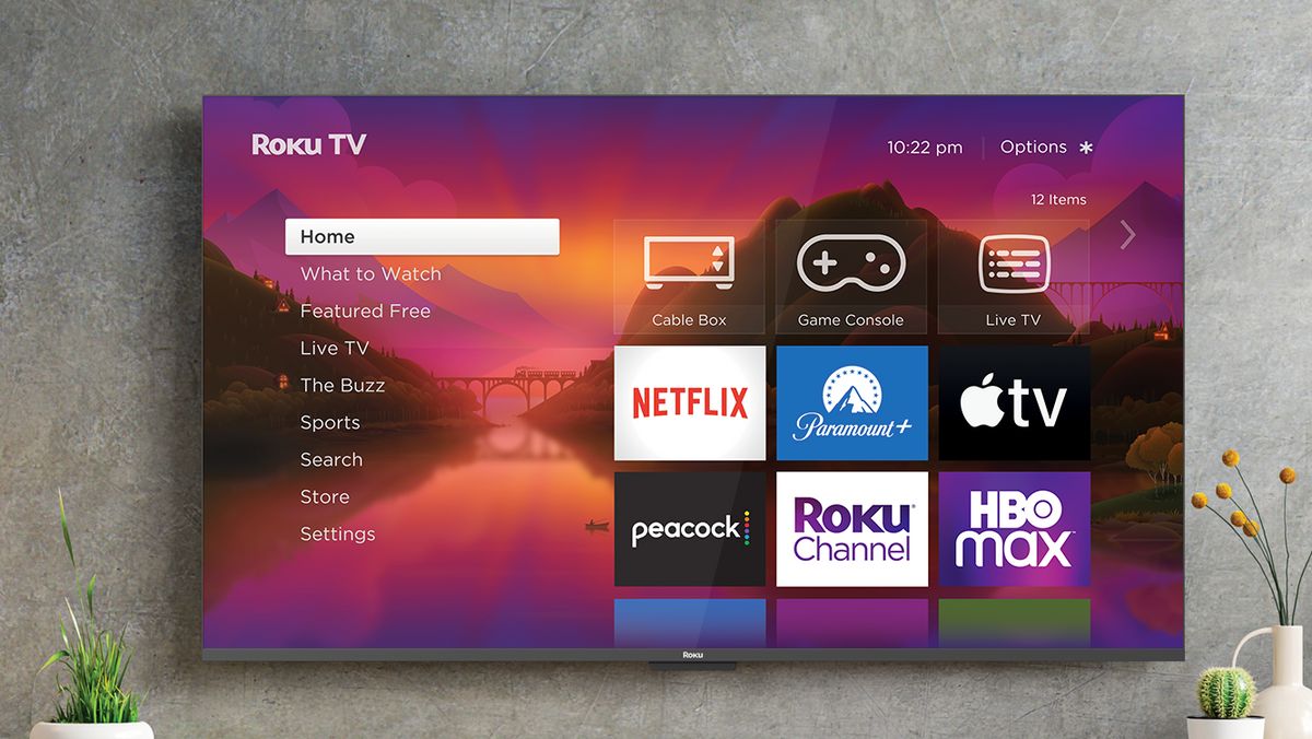 Roku's Web Browsing: 5 Tips