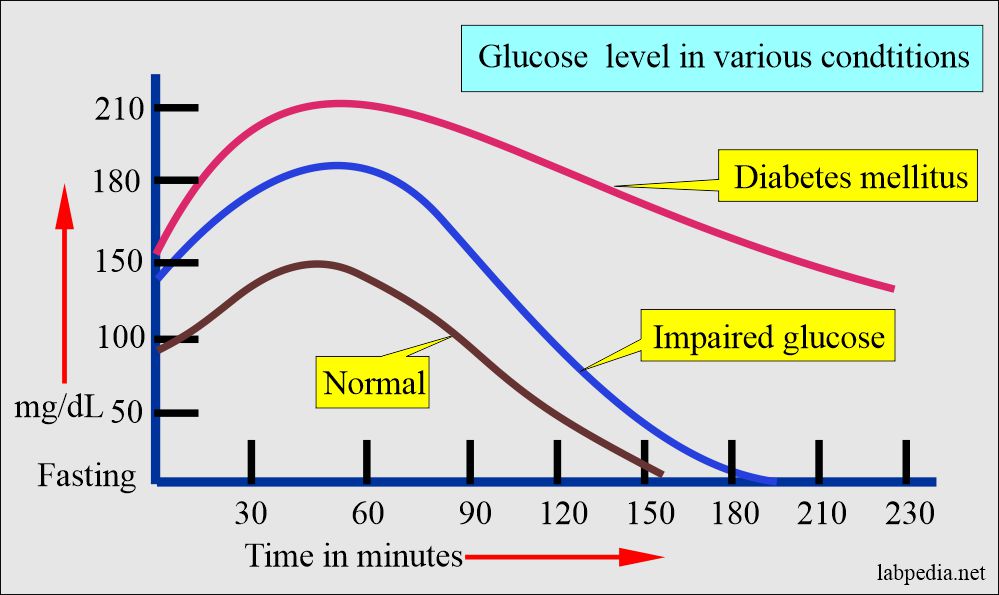 The Dog's Guide to Healthy Glucose Levels The Dog's Guide to Healthy Glucose Levels