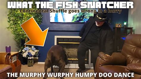 Dog Stole The Show Youtube Dog Stole The Show Youtube