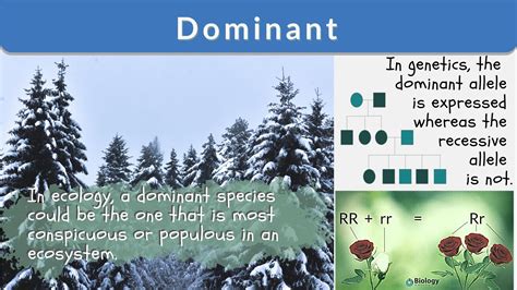 The Ultimate Guide to Dominance in Biology