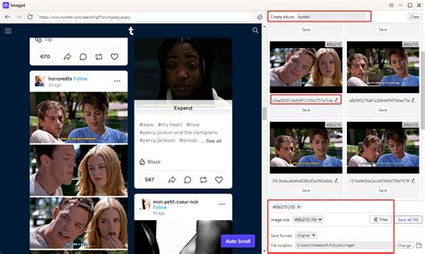 Download and Save: Tumblr Video Guide