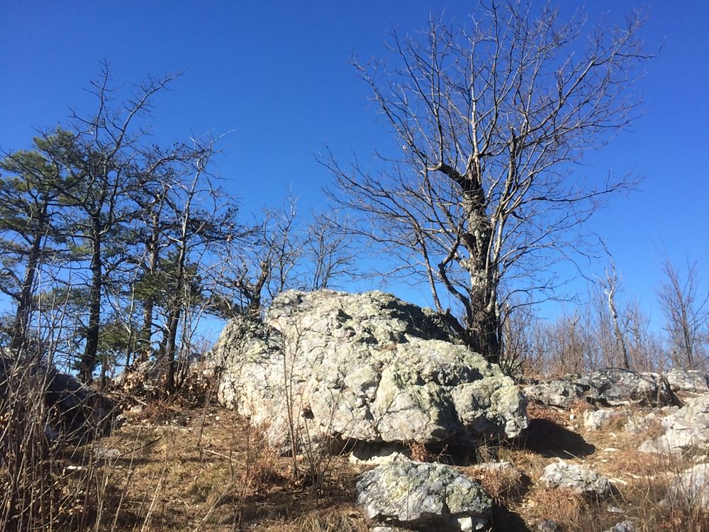 Explore the Scenic Eagle Rock Loop Trails