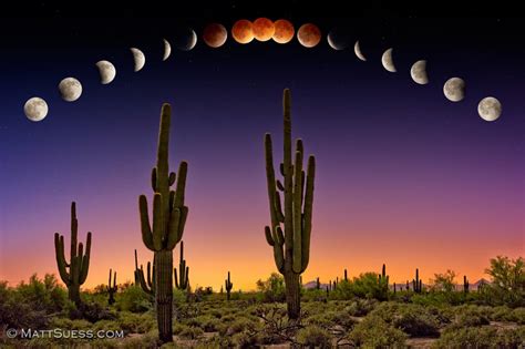 Stargazers' Guide: 5 Eclipse Tips
