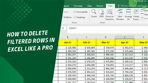 Effortless Data Cleansing How To Delete Filtered Rows In Excel Like A Pro Earn And Excel Effortless Data Cleansing How To Delete Filtered Rows In Excel Like A Pro Earn And Excel