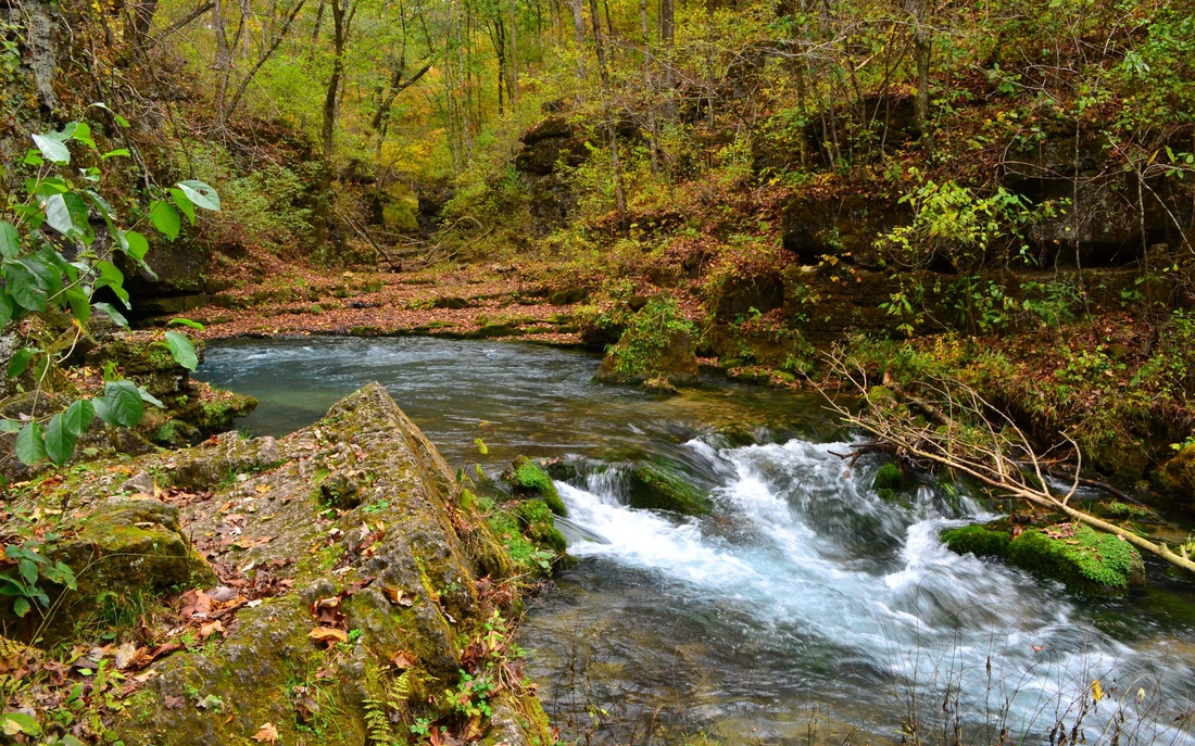 Eleven Point River: Missouri's Scenic Wonder