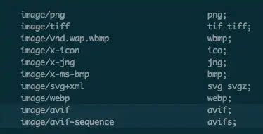 Unleash NGINX's Power: Auto-Redirect to WebP and AVIF Unleash NGINX's Power: Auto-Redirect to WebP and AVIF