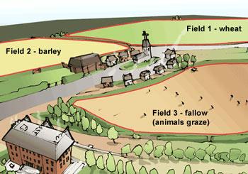 The Enclosure Movement's Legacy