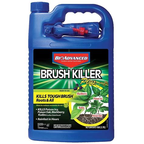Effective English Ivy Control: Herbicide Solutions