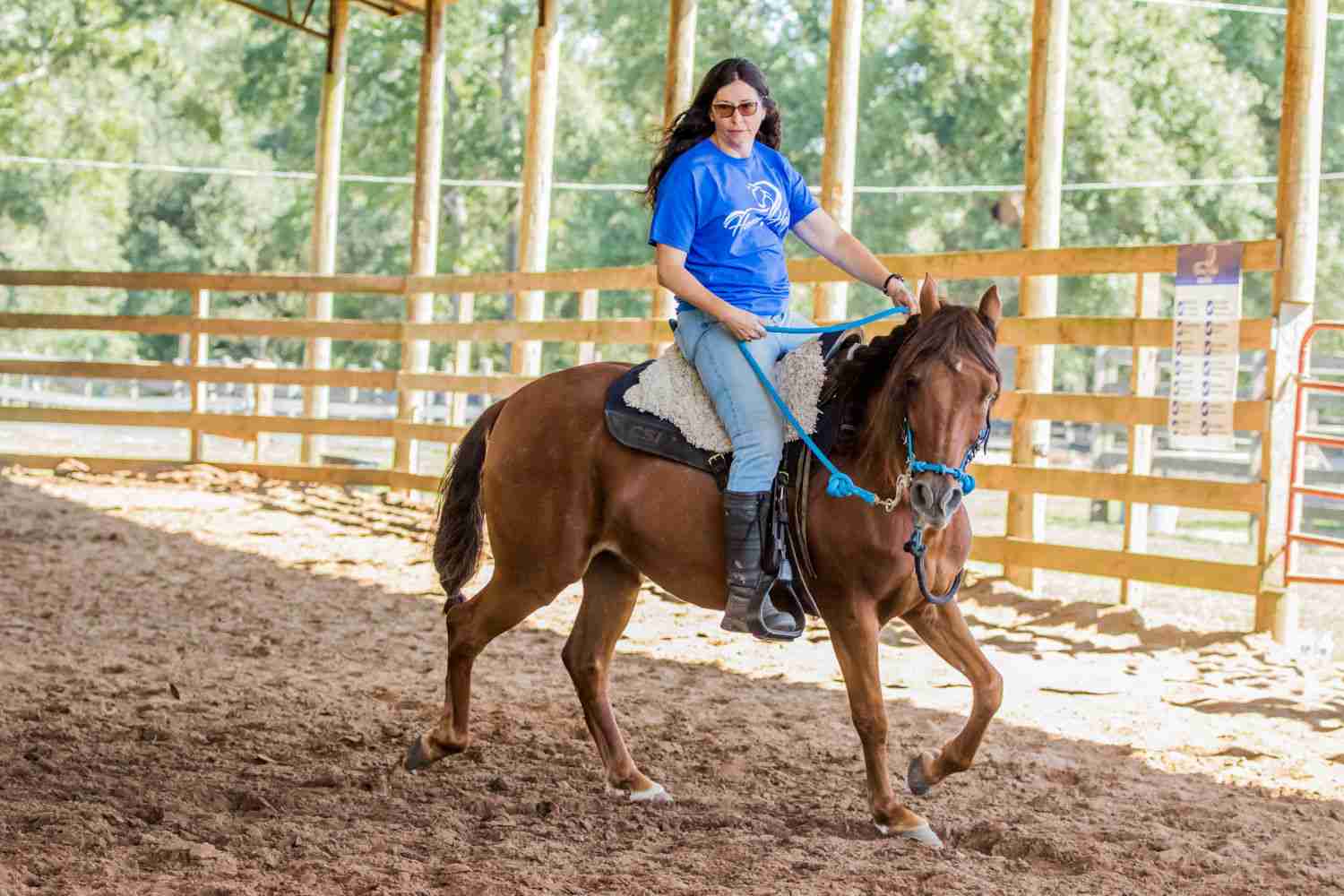 Epm In Horses Symptoms Treatment And Prevention Guide Epm In Horses Symptoms Treatment And Prevention Guide