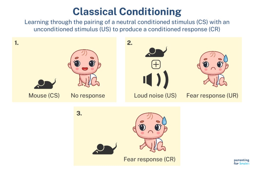 4 Classic Examples of Classical Conditioning