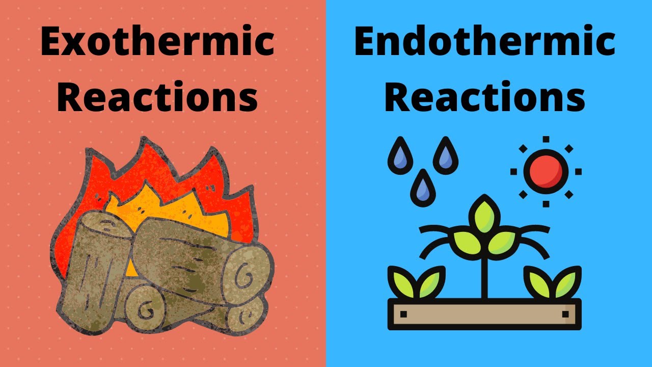 Unveiling the Mystery of Endothermic Reactions Unveiling the Mystery of Endothermic Reactions