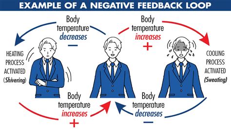 5 Examples of Negative Feedback
