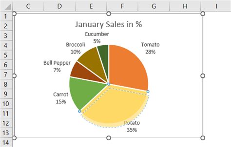 Excel Pie Chart How To Create Customize Top 5 Types Excel Pie Chart How To Create Customize Top 5 Types