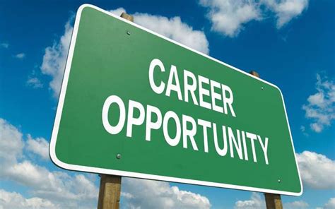 Exploring Career Opportunities In Sports Management Jobs Beyond Exploring Career Opportunities In Sports Management Jobs Beyond