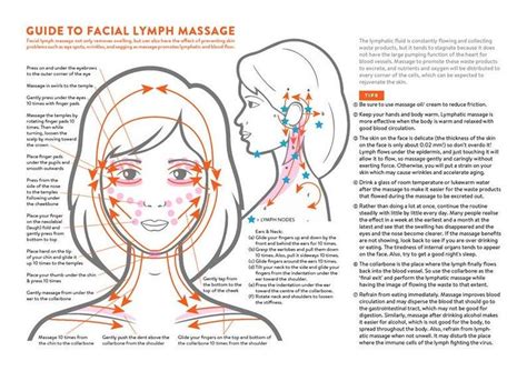 Facial Massage Lymph Drainage Lymphatic Drainage Massage Lymphatic Facial Massage Lymph Drainage Lymphatic Drainage Massage Lymphatic