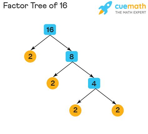 Factor Tree Method Examples Faqs Factor Tree Method Examples Faqs