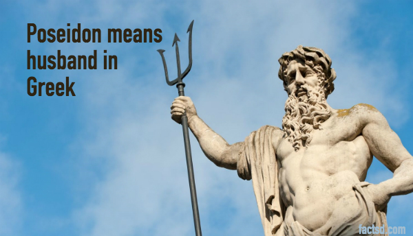 Top 5 Fascinating Facts About Poseidon