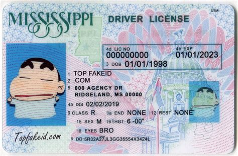 Top Websites to Buy Fake IDs Online