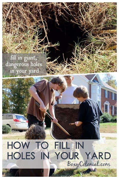Filling In Holes In The Yard The Most Ridiculous Post Ever Filling In Holes In The Yard The Most Ridiculous Post Ever