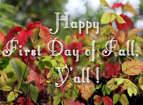 Autumn's Official Arrival: A Warm Welcome